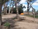 My tent at Quorn Caravan Park