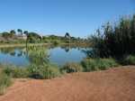 Town dam filled from street runoff "when it really does"