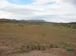 Wilpena Pound rising up in the distance