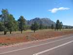 Northern Cyprus trees and Flinders Ranges
