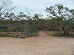 Chook pen (dogs at back)