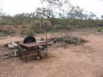 Firewood production area