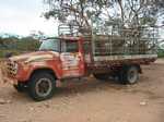 Old sheep transport truck still in regular use